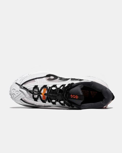 Nike ACG Mountain Fly 2 Low 'Summit White' 116 фото