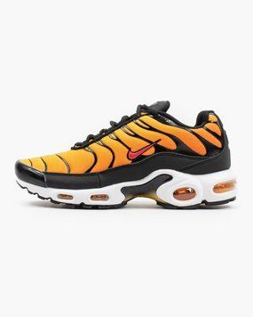 Nike Air Max Plus OG Tn Tiger 2006_500 фото
