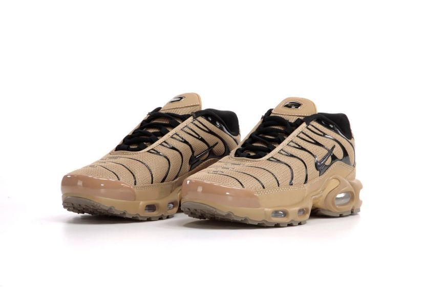 Nike Air Max Plus TN Brown 2009_503 фото