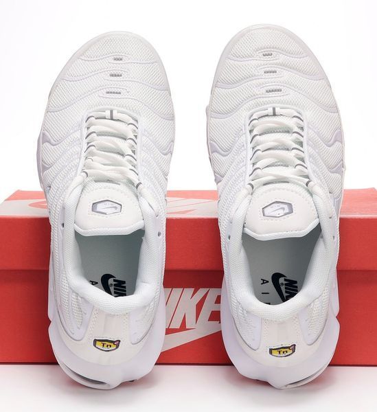 Nike Air Max Plus TN White 2713_1319 фото