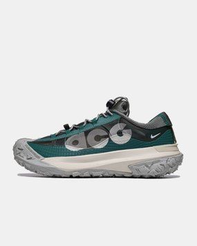 Nike ACG Mountain Fly Low 2 'Bicoastal' 597 фото